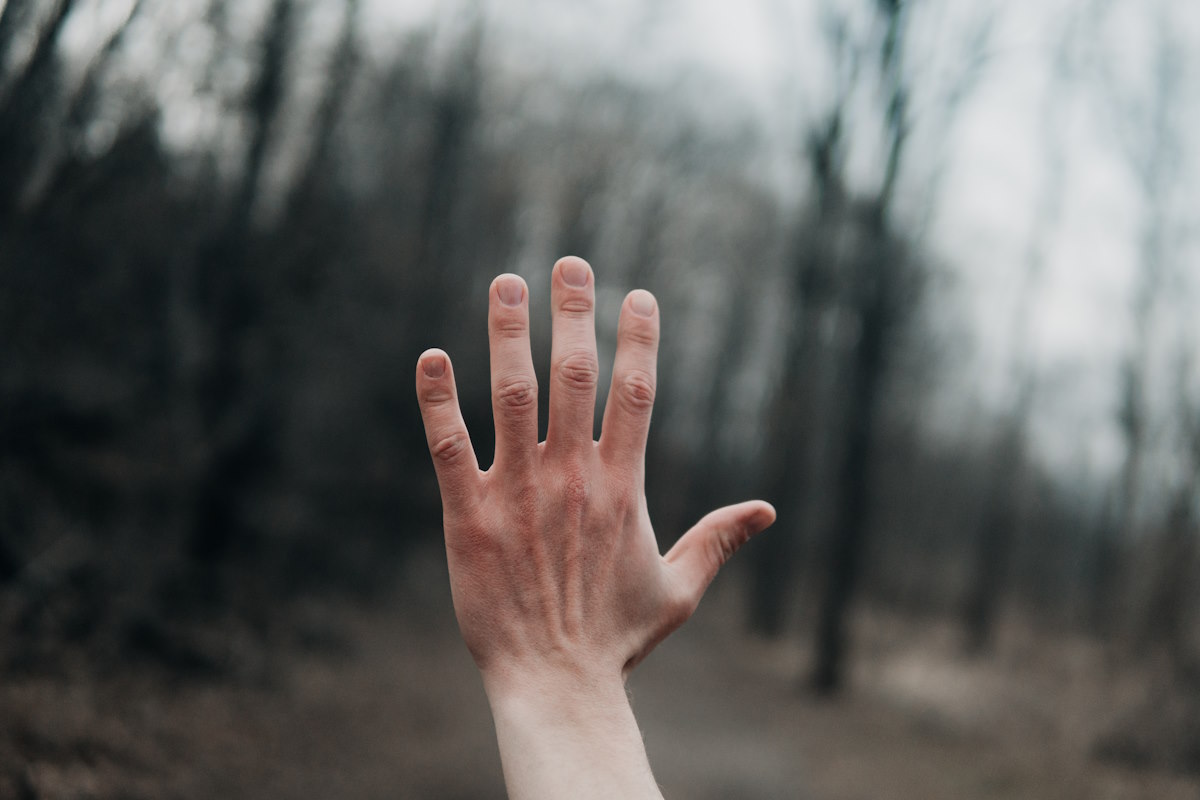 Photo of a person's hand being held in the air