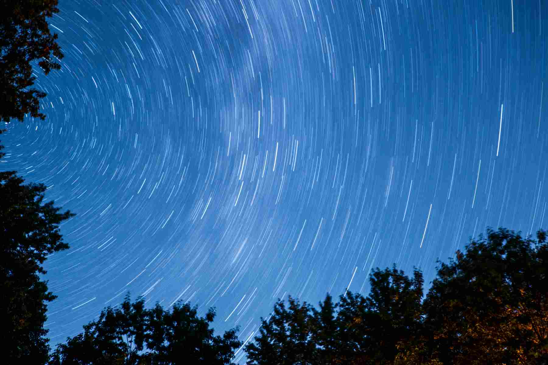 Upwards shot of blurry trees and night sky with stars