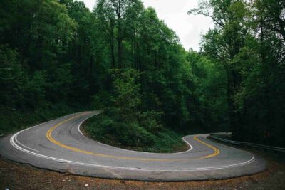A bend in the road running through a forest